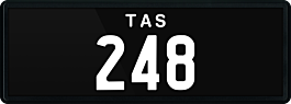 248