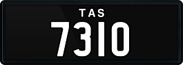 7310