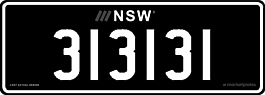 313131