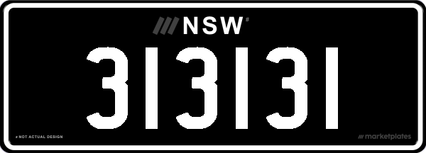 313131